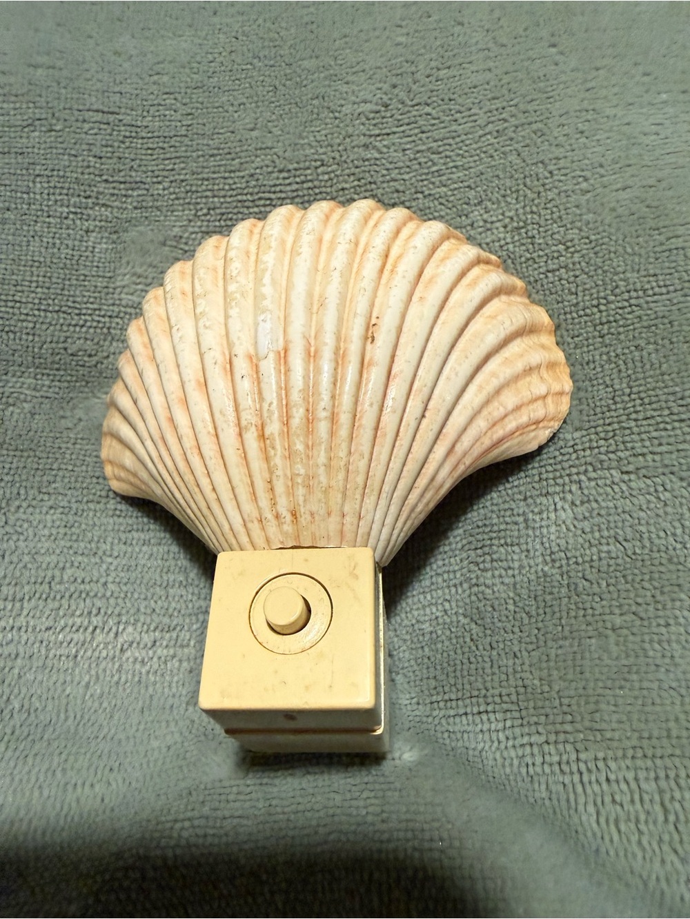 Vintage Seashell Night Light - Cream Shell Accent